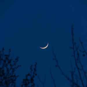 日韩精品一级毛片免费
